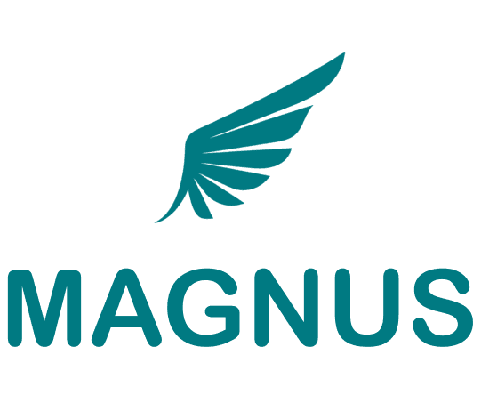 Magnus Hotel Group